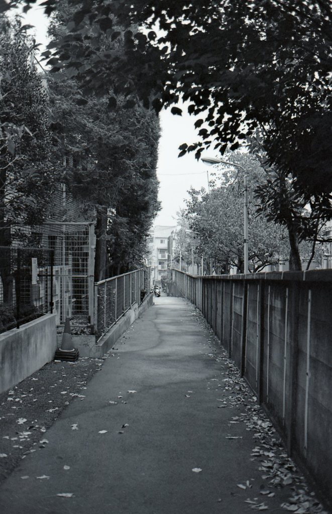 路地裏探検。