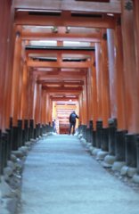 京都snap_1