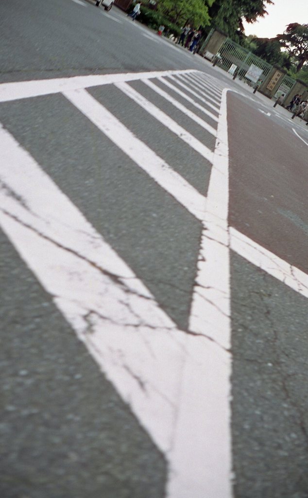Tokyo-Day_16