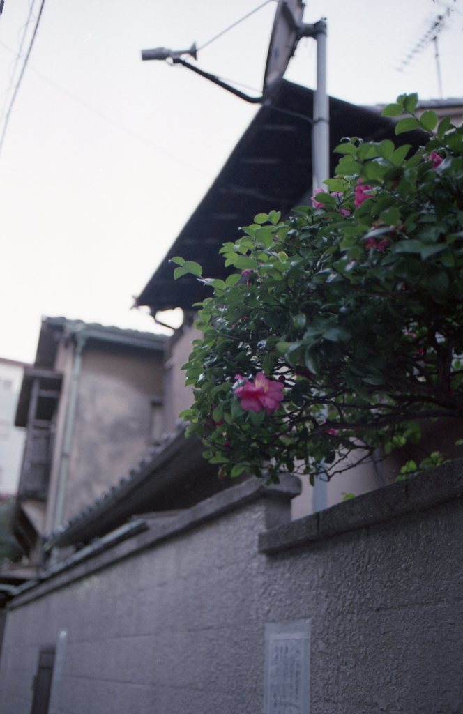 full-color_tokyo_4