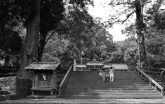 545FA658-4195-4127-89B9-23F61C7DA3FD