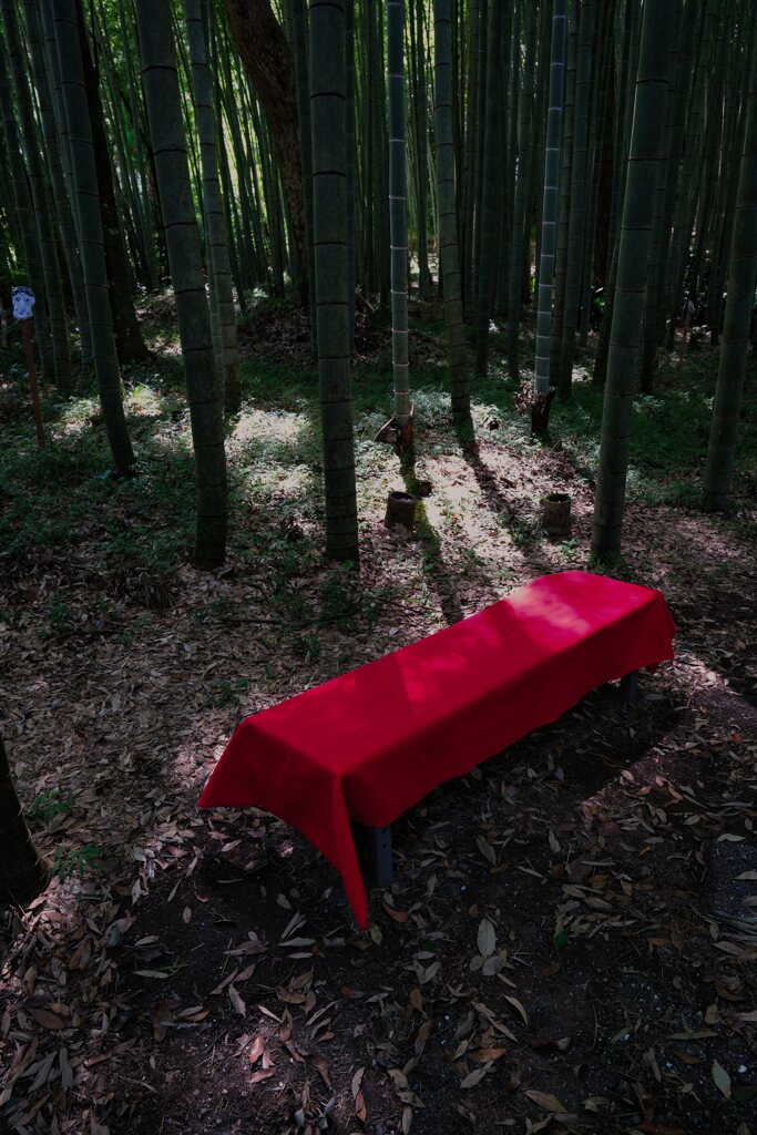 ビビットカラー