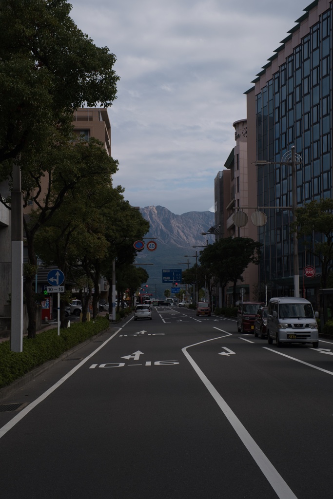 桜島へと続く道