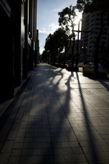 52B40027-1300-40E9-AFE4-5D048A00A759