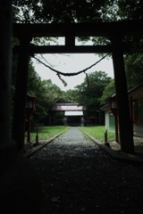 7855B7AC-CC16-456E-A6BC-58C99DBE0A2E