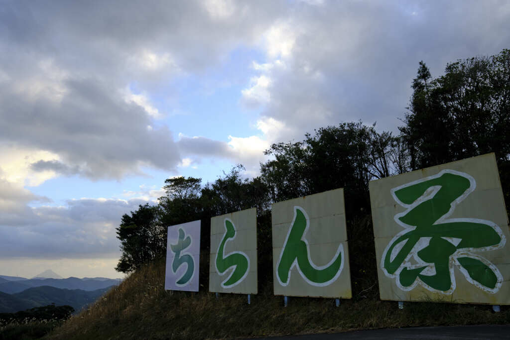 お茶所