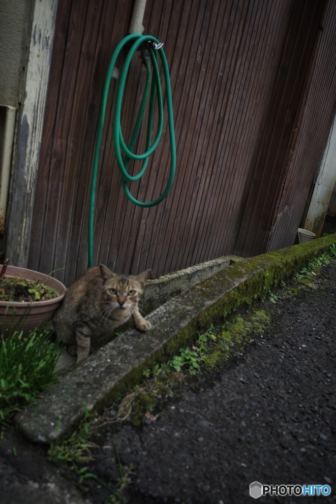 AFA2370A-C209-4B9A-A551-41A0E72CBCEB