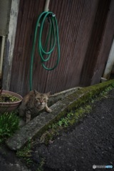 AFA2370A-C209-4B9A-A551-41A0E72CBCEB