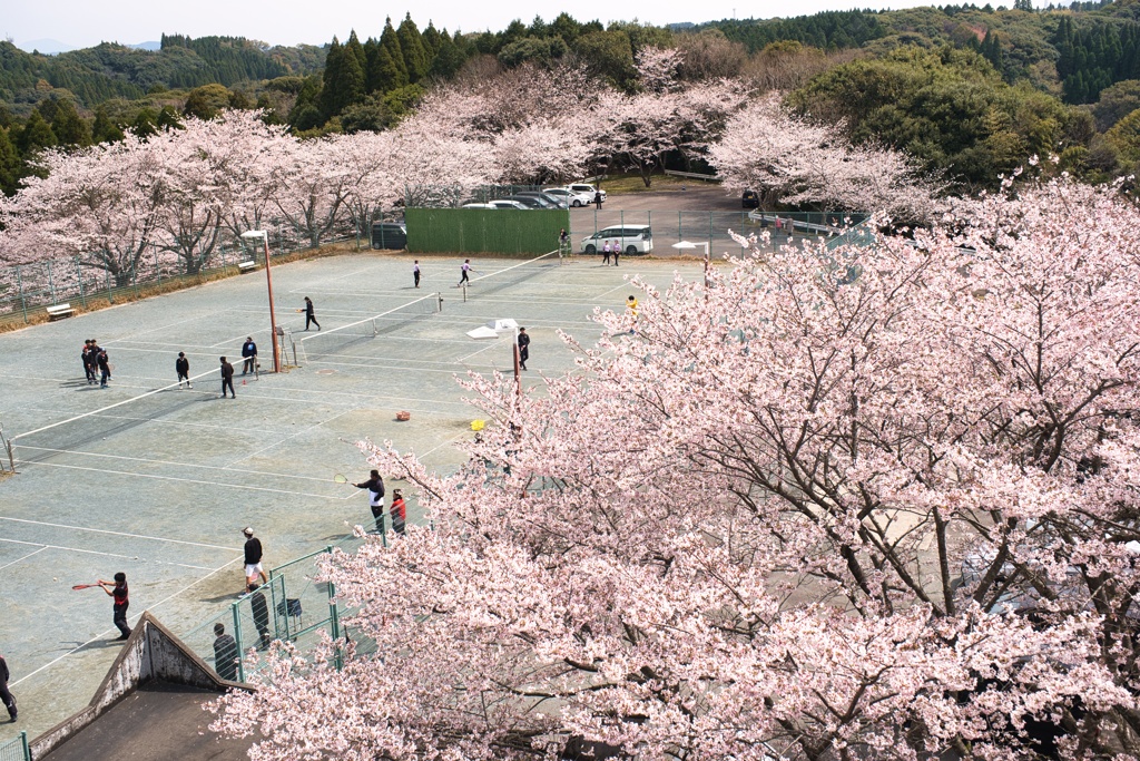 春のテニスコート