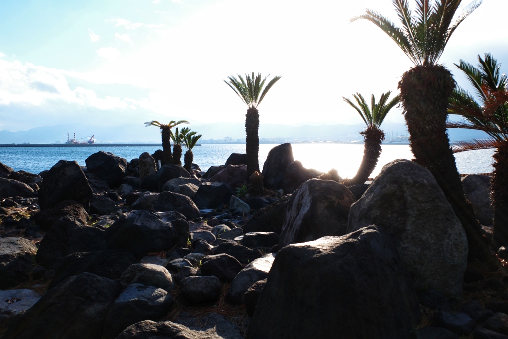 82B2CED5-D7B9-497D-A238-CE32C56EB45A