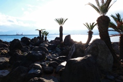 82B2CED5-D7B9-497D-A238-CE32C56EB45A