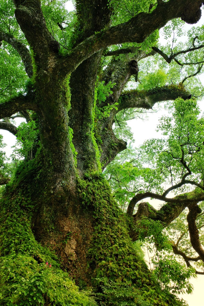 7B5CEDCF-2D9C-4004-B97E-62225FF75F25