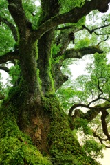 7B5CEDCF-2D9C-4004-B97E-62225FF75F25