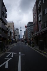 撮りたくなるよね