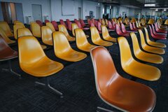 イームズの群れ