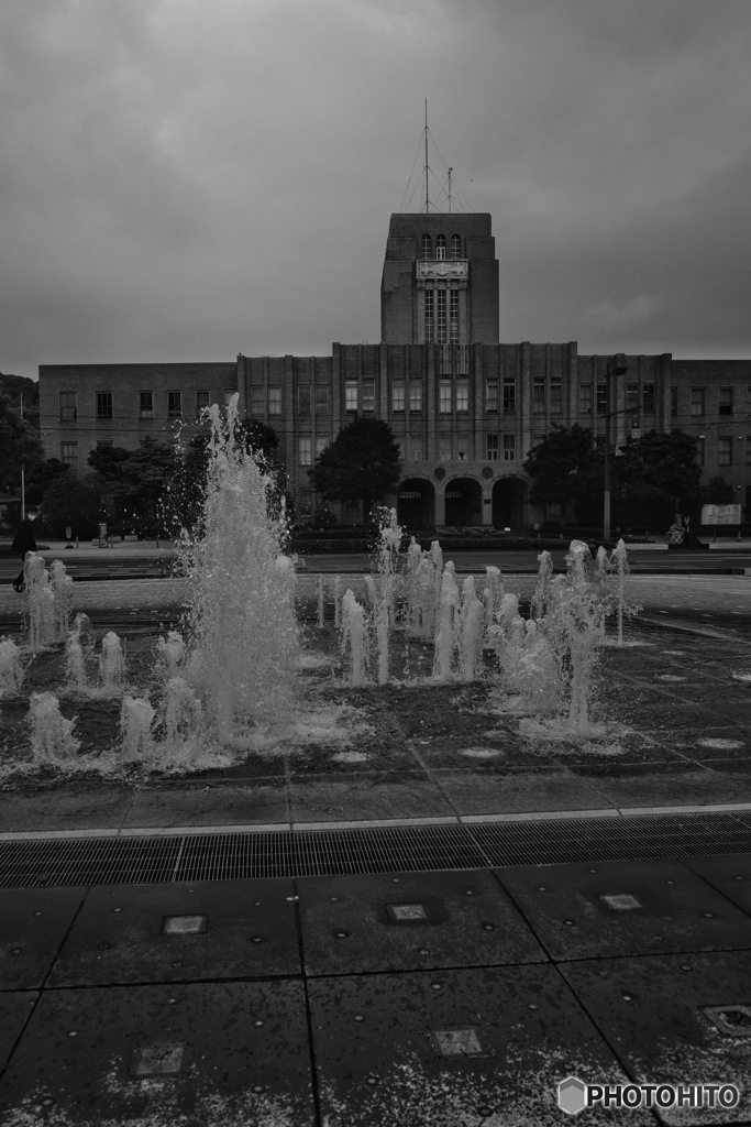 4323D8D7-4218-4A02-9A65-0490E777E1A3