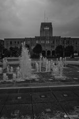 4323D8D7-4218-4A02-9A65-0490E777E1A3