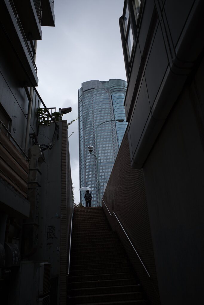 夢の場所を見上げる