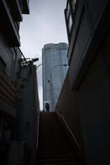 夢の場所を見上げる