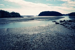 BDB39D41-17B4-4E4B-8B7C-322D6624D295