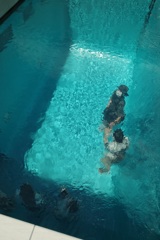 6C6396FA-2EF1-44E6-ACCC-0F62D9F86365