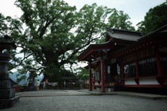 1042E299-1B73-40DC-8838-D0D5AD66C88D