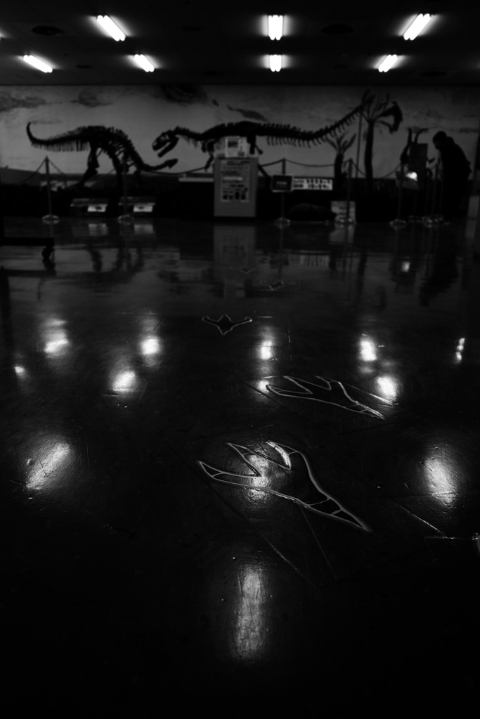 ADA433FE-0154-460F-983F-04969D7C4625