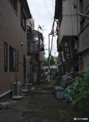 E6FE389C-CAF6-45A1-8EAE-22381F82AEA3