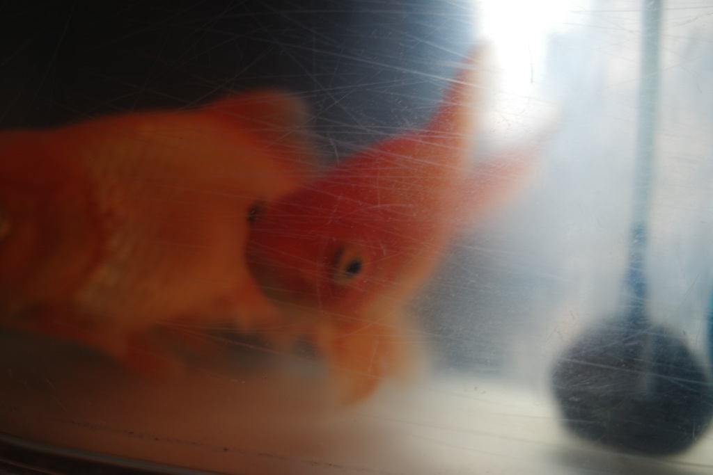 554C84B6-7495-40C1-B3B9-3F0C59AF8B96