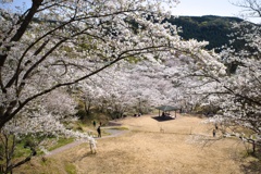 思い思いの楽しみ