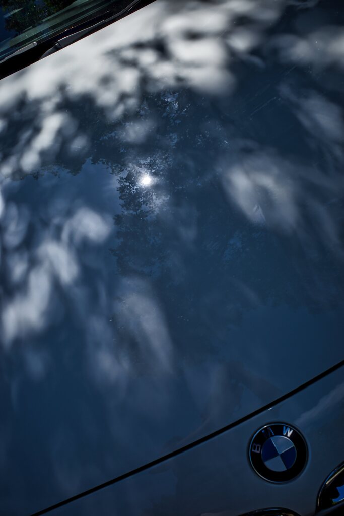 雲と木陰の重なり