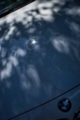 雲と木陰の重なり