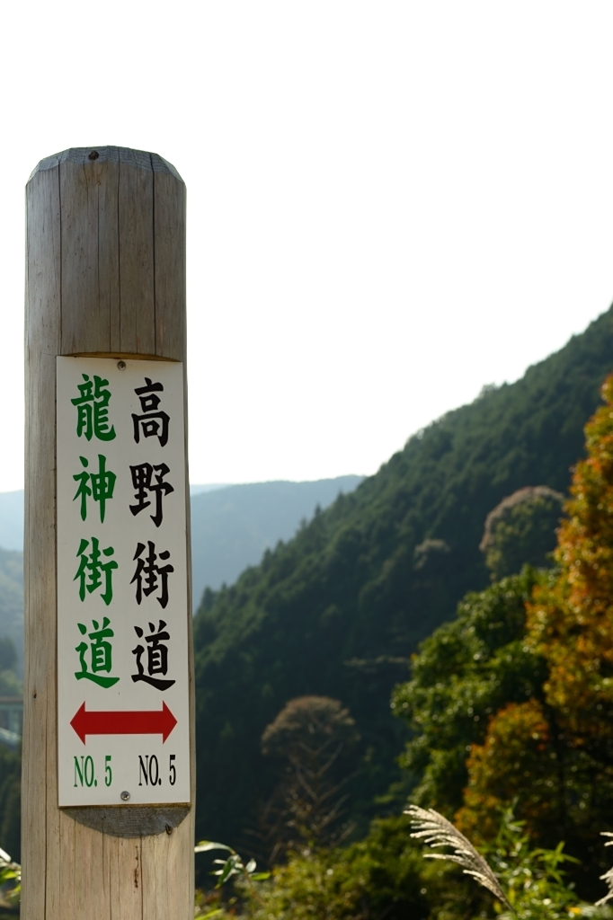 高野街道をゆく