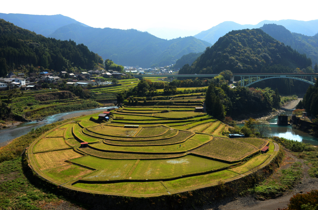 あらぎ島