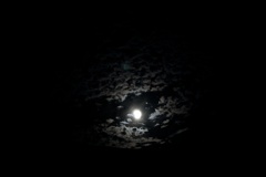 MoonLight