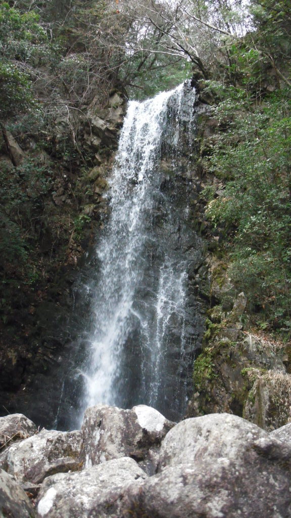 滝