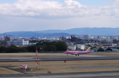 ＦＤＡの飛行機（ピンク）