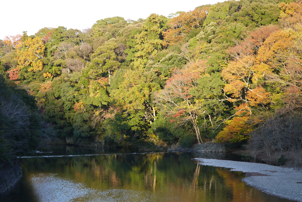 伊勢神宮（宇治橋から）