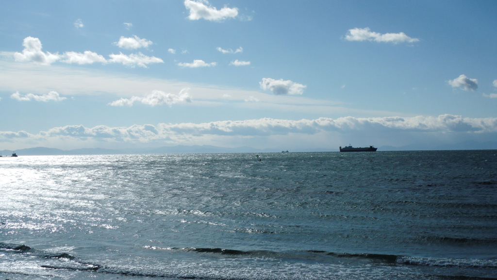 海