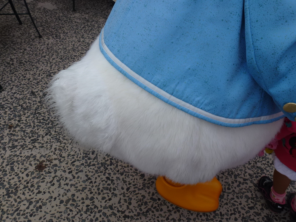 ドナルドもふ尻