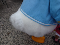 ドナルドもふ尻