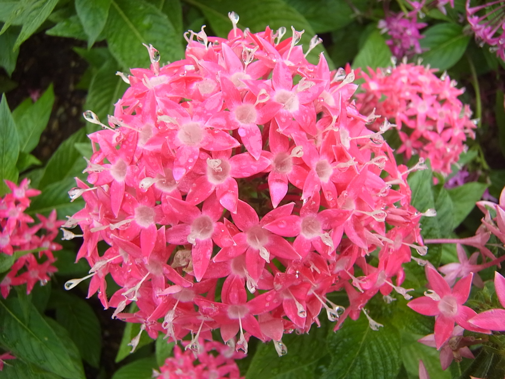 030