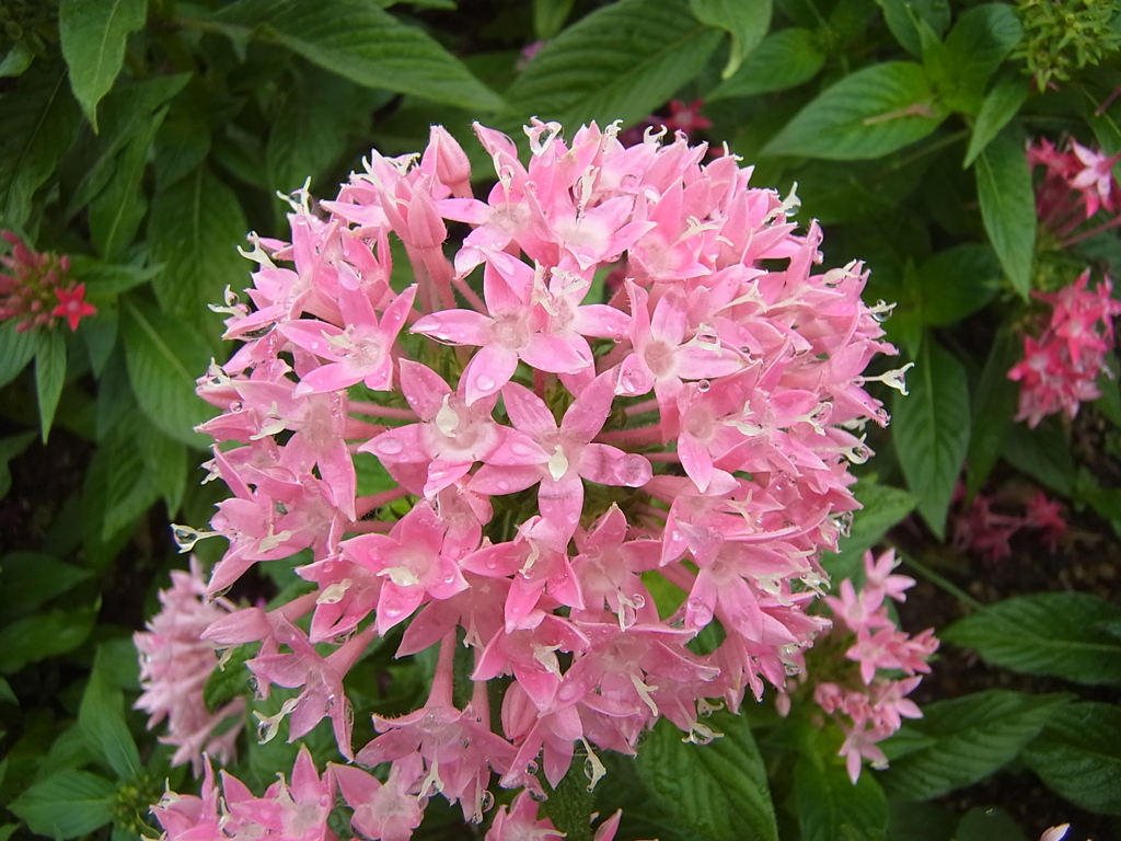 029