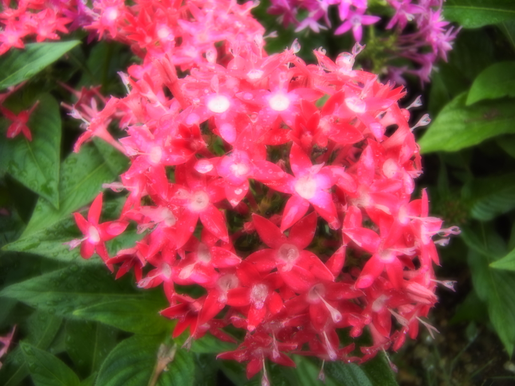 027