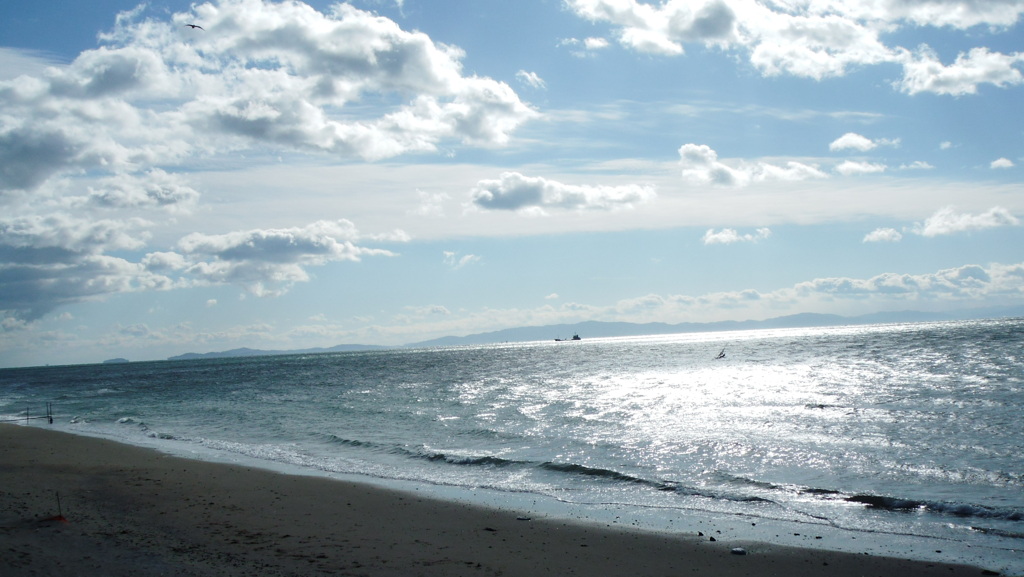 海
