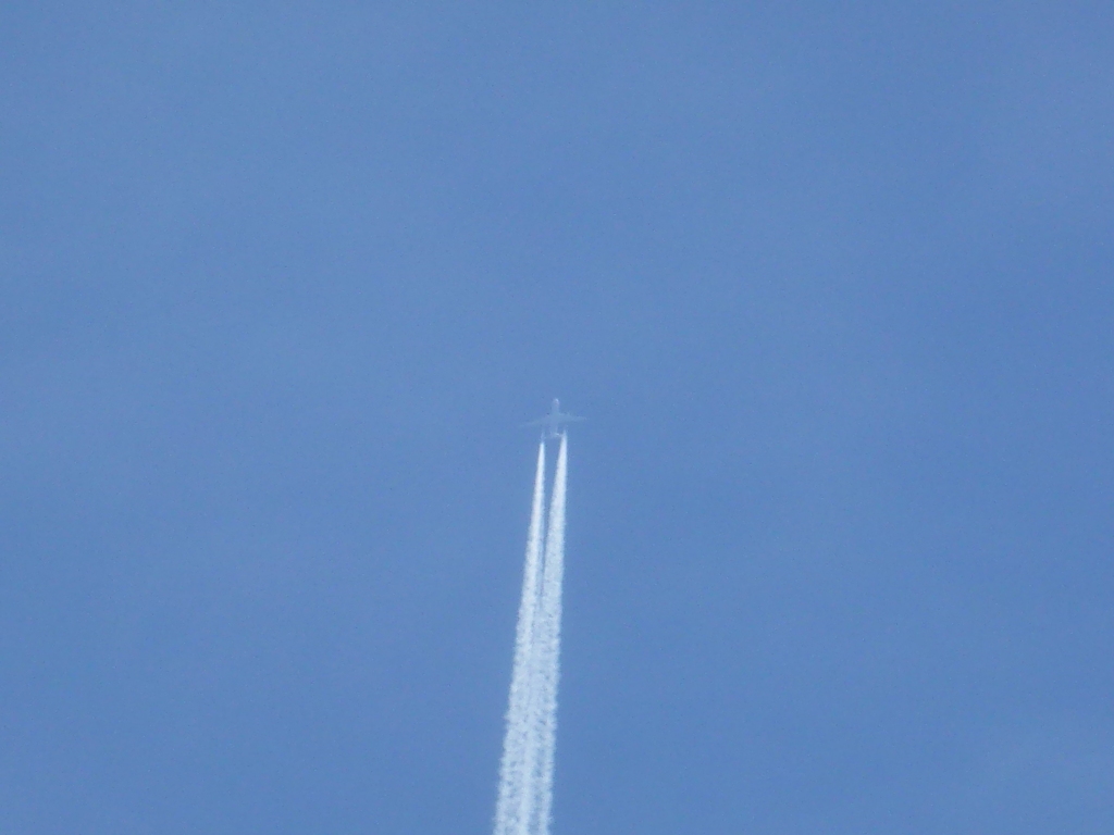 飛行機