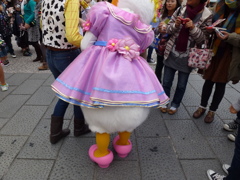 ディジー　後ろ姿