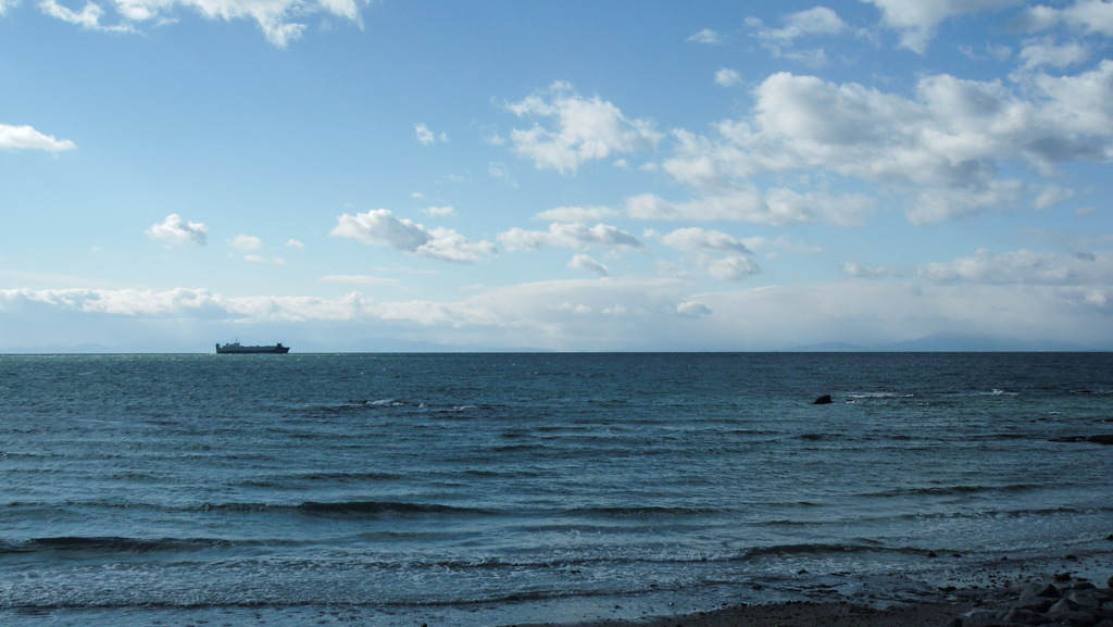 海