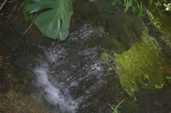 水