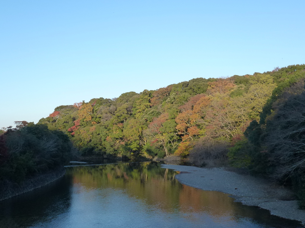 伊勢神宮（宇治橋から）